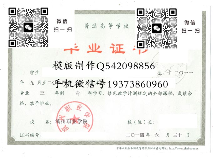 滨州职业学院毕业证样本全日制模版图片
