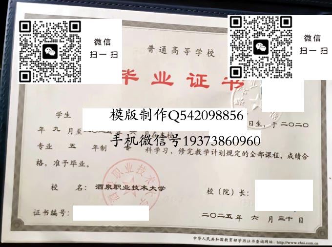 酒泉职业技术大学2025 拷贝