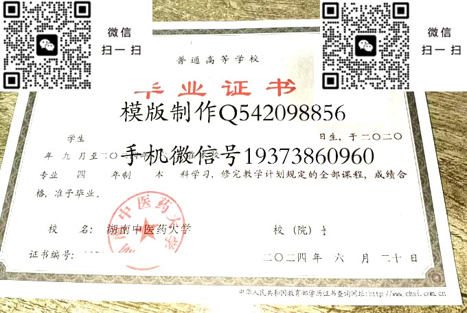 湖南中医药大学2024 拷贝