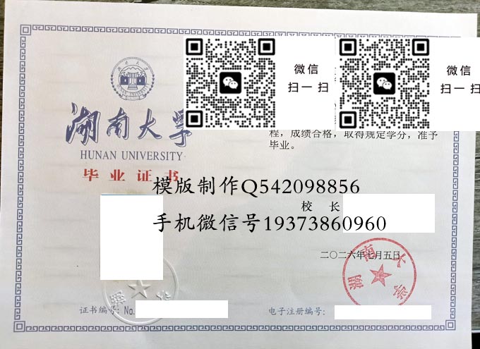 湖南大学2026实物1 拷贝 湖南大学2026实物1 拷贝
