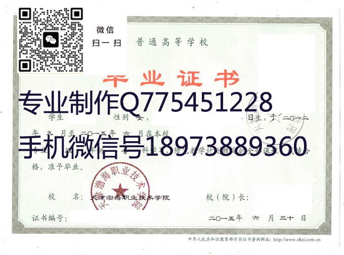 天津渤海职业技术学院毕业证样本图片