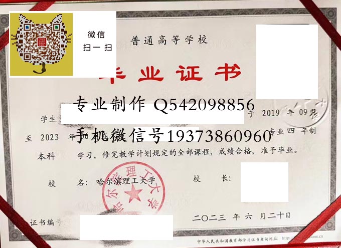 哈尔滨理工大学2023 拷贝