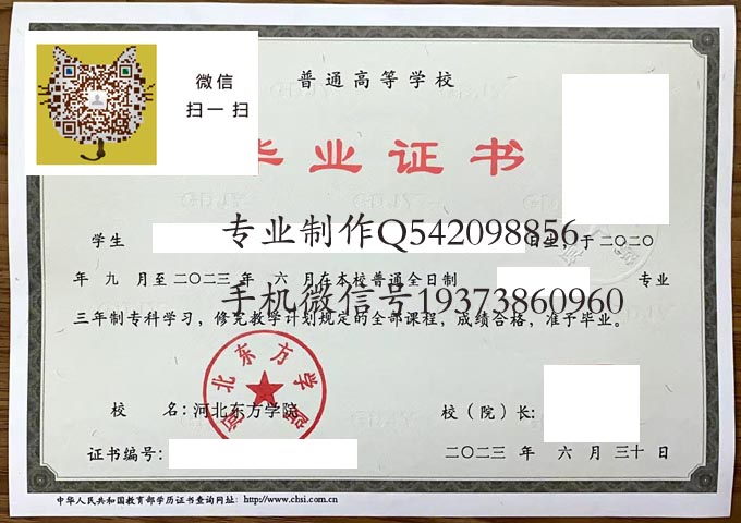 河北东方学院2023实物 拷贝 河北东方学院2023实物 拷贝