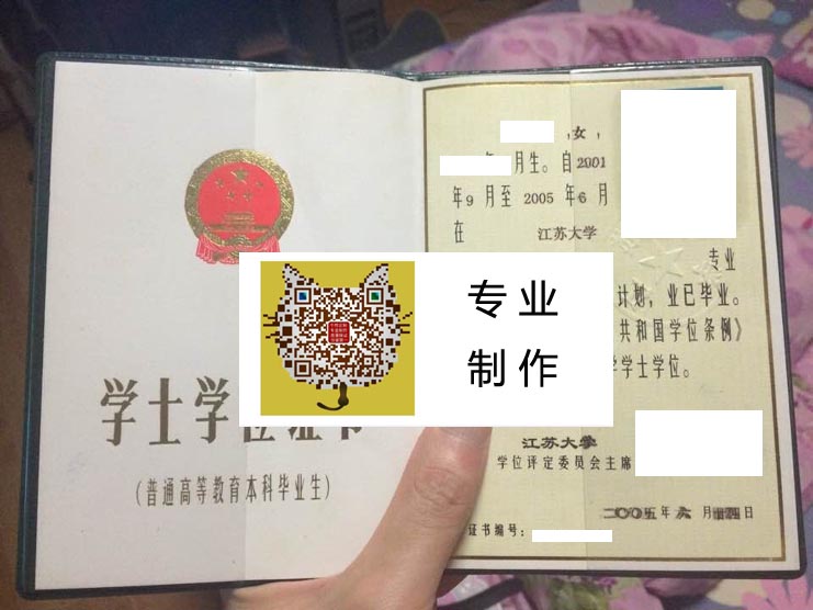 江苏大学2005学位 拷贝.jpg