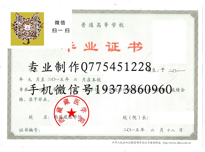西藏藏医学院2015 拷贝