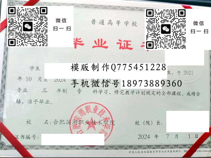 合肥滨湖职业技术学院毕业证样本2024年全日制大专毕业证模版图片