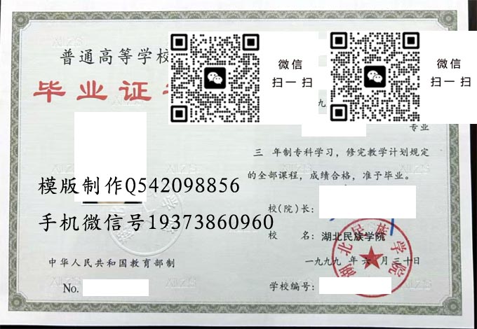 湖北民族学院1999改 拷贝