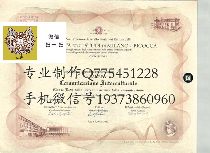 意大利米兰比科卡大学 拷贝
