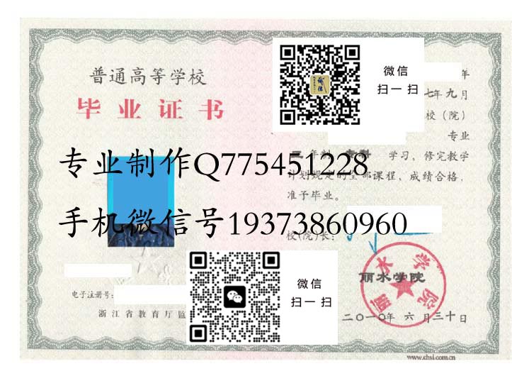 丽水学院毕业证样本2010年全日制大专毕业证模版图片
