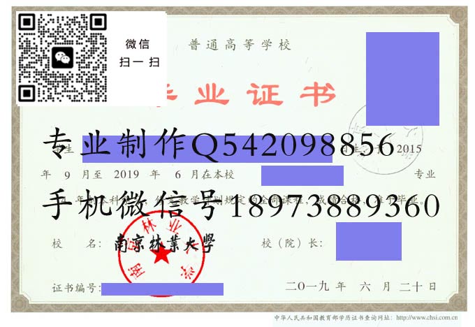 南京林业大学历届毕业证样本