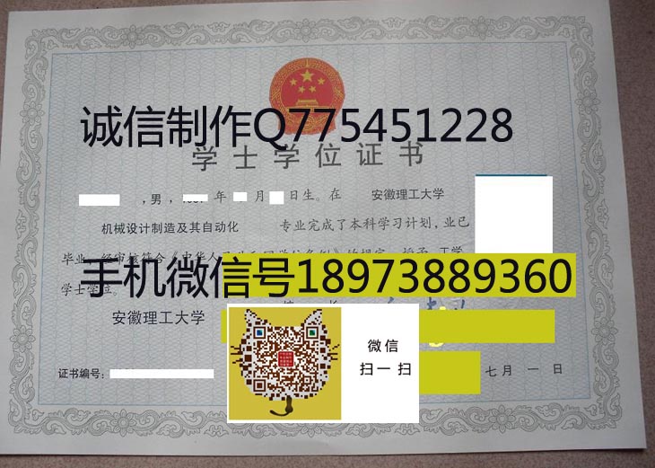安徽理工大学学位2009 拷贝.jpg