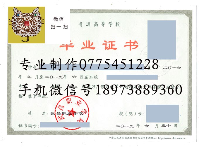 武昌职业学院2019 拷贝 武昌职业学院2019 拷贝