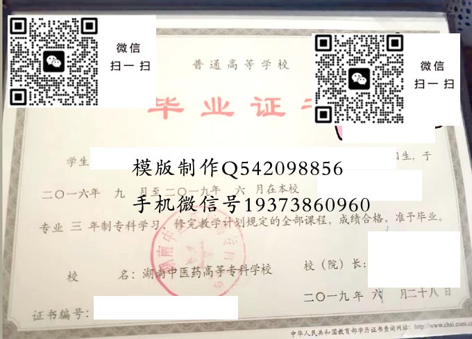 湖南中医药高等专科学校2019 拷贝 湖南中医药高等专科学校2019 拷贝