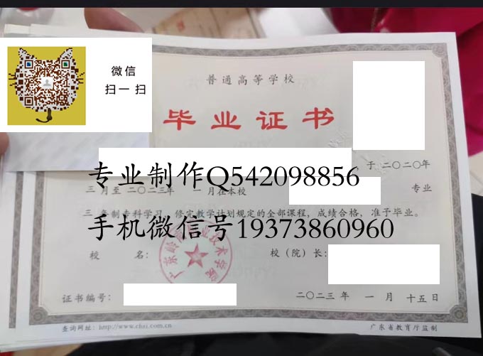 广东岭南职业技术学院毕业证书样本模版图