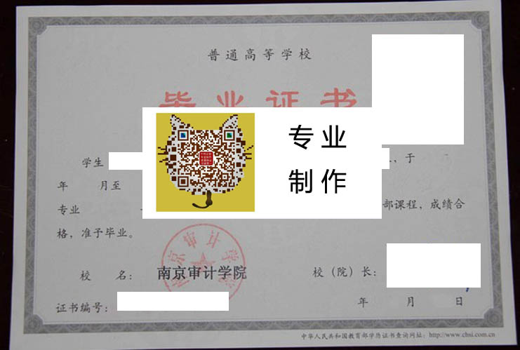 南京审计学院 拷贝.jpg