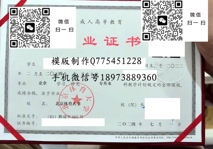 北京体育大学2024成人 拷贝