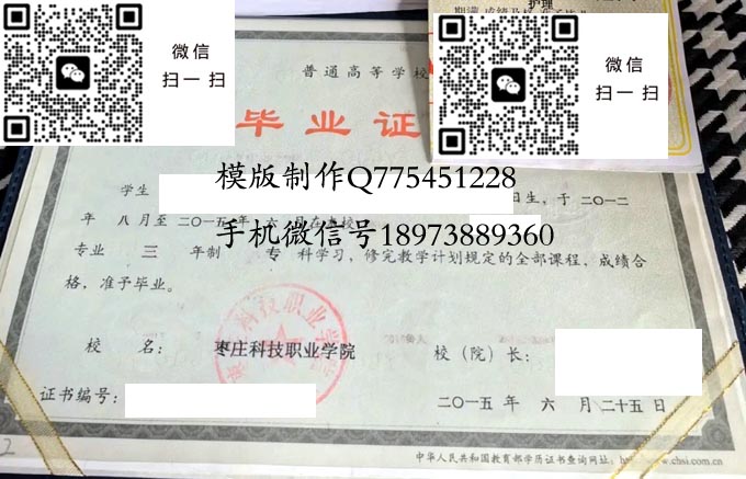 枣庄科技职业学院毕业证样本全日制模版图片