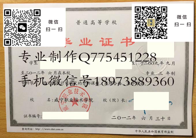 咸宁职业技术学院毕业证样本模版图片