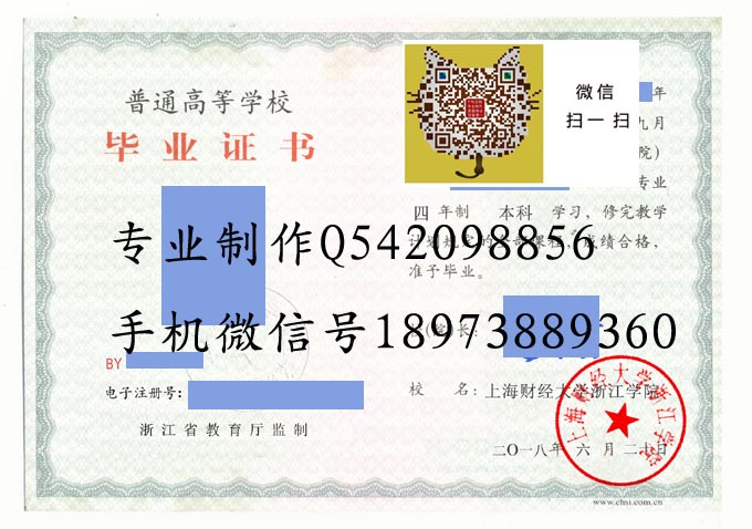 上海财经大学浙江学院2018 拷贝