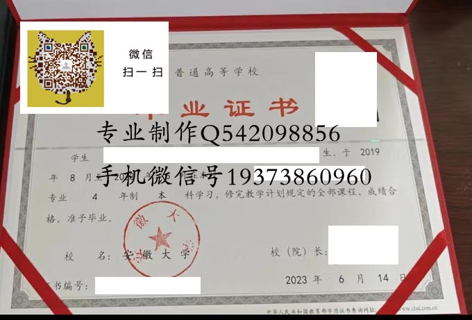安徽大学2023 拷贝