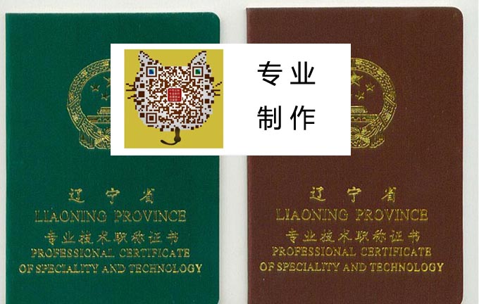 辽宁省工程师资格证书样本