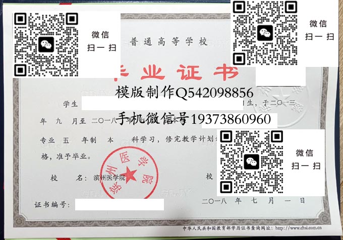 滨州医学院毕业证样本全日制本科模版图片