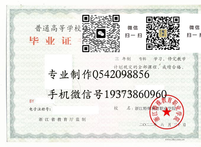 浙江特殊教育职业学院毕业证样本2022年全日制大专毕业证模版图片