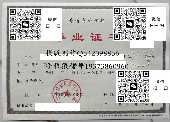 山东商业职业技术学院毕业证样本全日制模版图片