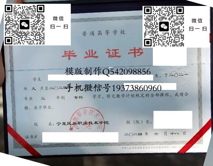 宁夏民族职业技术学院2024网 拷贝