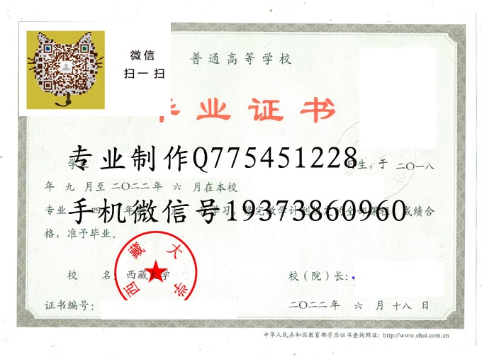 西藏大学2022电子 拷贝