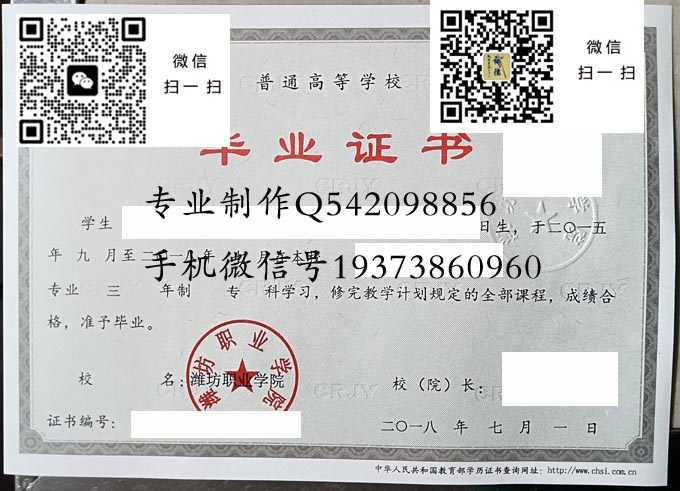 潍坊职业学院毕业证样本全日制模版图片