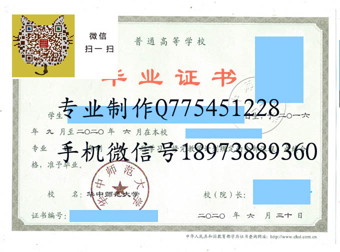 华中师范大学2020 拷贝.jpg