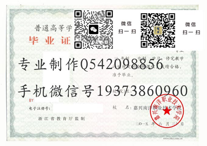 嘉兴南洋职业技术学院毕业证样本2015年全日制大专毕业证模版图片
