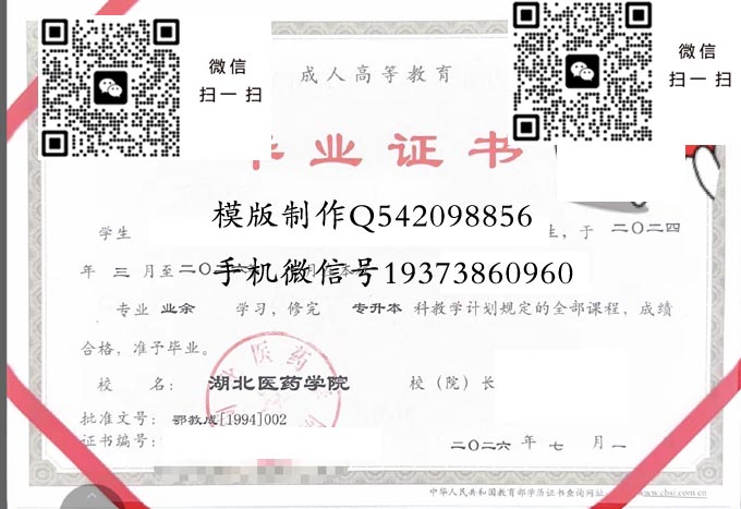 湖北医药学院2026成人 拷贝