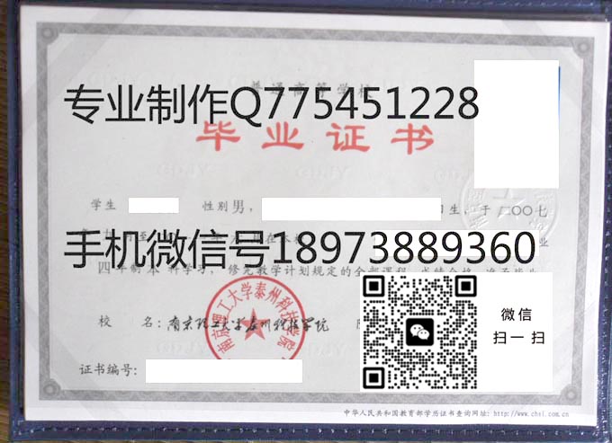 南京理工大学泰州科技学院毕业证样本2011年全日制本科毕业证模版图片