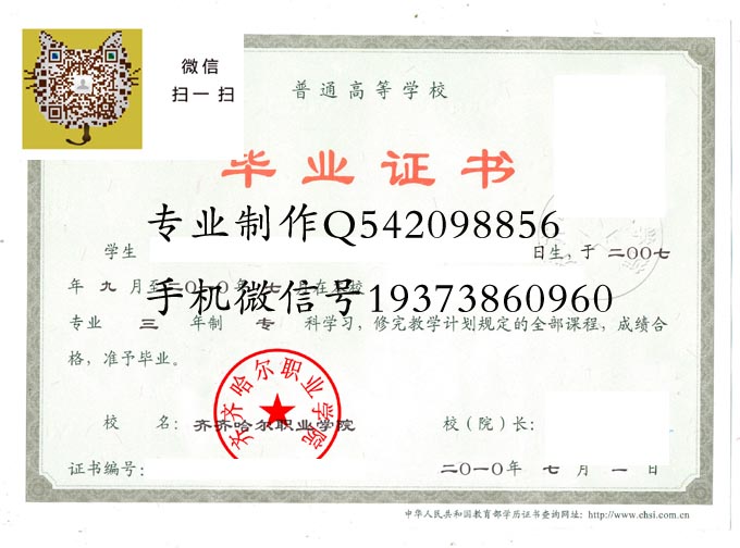 齐齐哈尔职业学院2010 拷贝
