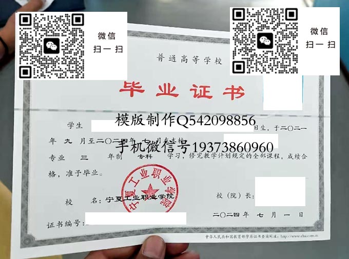 宁夏工业职业学院2024 拷贝