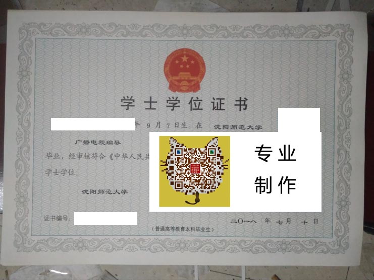 沈阳师范大学2018学位 拷贝.jpg