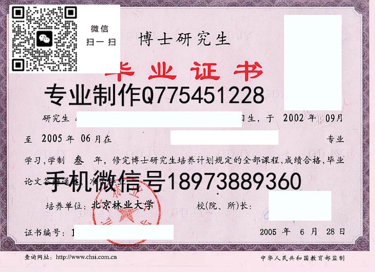 北京林业大学2005 拷贝 北京林业大学2005 拷贝