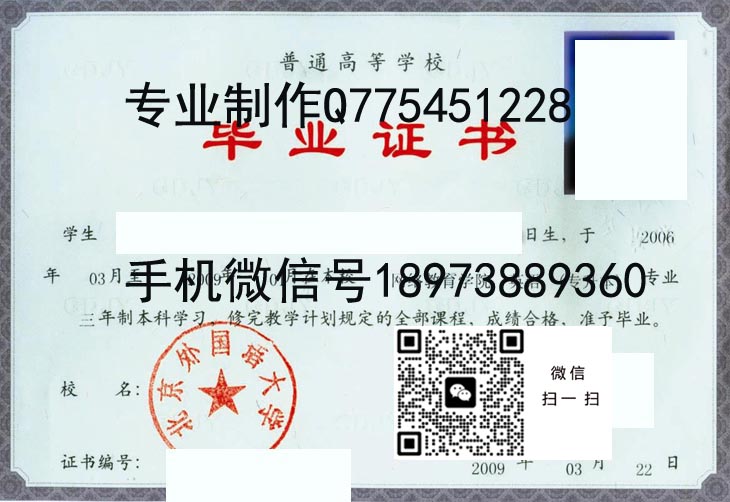 北京外国语大学2009 拷贝