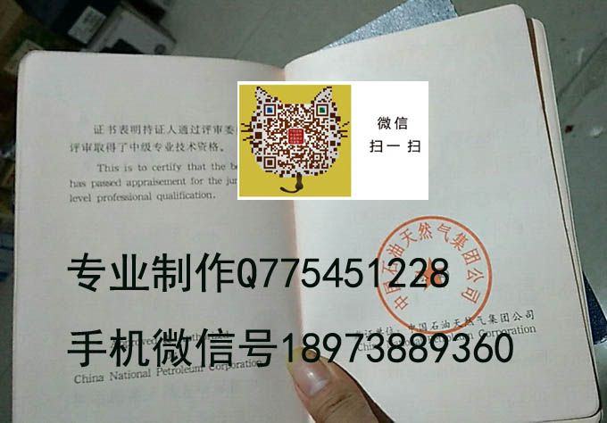 中国石油天然气集团公司内页1.jpg 中国石油天然气集团公司内页1.jpg