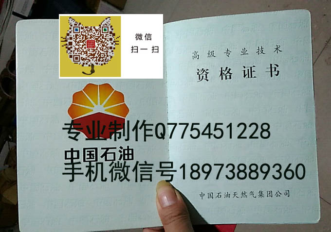 中国石油天然气集团公司内页2.jpg 中国石油天然气集团公司内页2.jpg