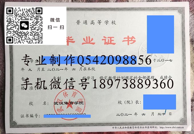 武汉体育学院2021 拷贝