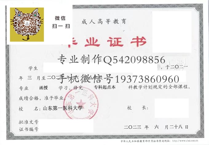 山东第一医科大学毕业证样本成人模版图片