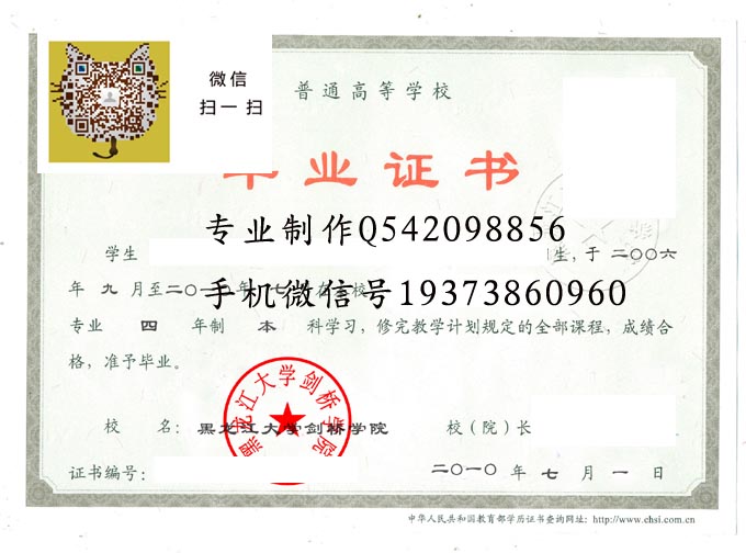 黑龙江大学剑桥学院2010 拷贝