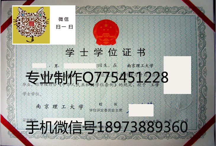南京理工大学学位2009.jpg 南京理工大学学位2009.jpg