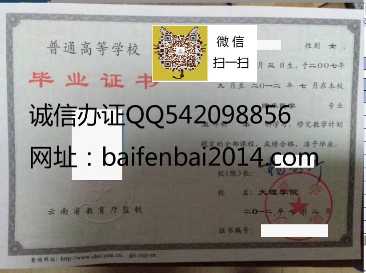 大理学院2012 拷贝.jpg
