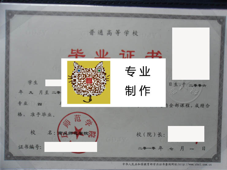 商丘师范学院2010 拷贝.jpg