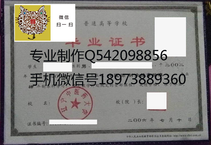 辽宁中医药大学2006 拷贝.jpg