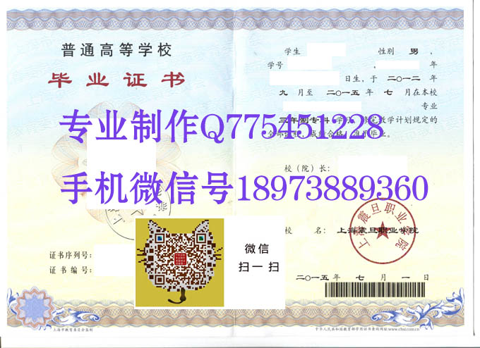 上海震旦职业学院2015 拷贝.jpg